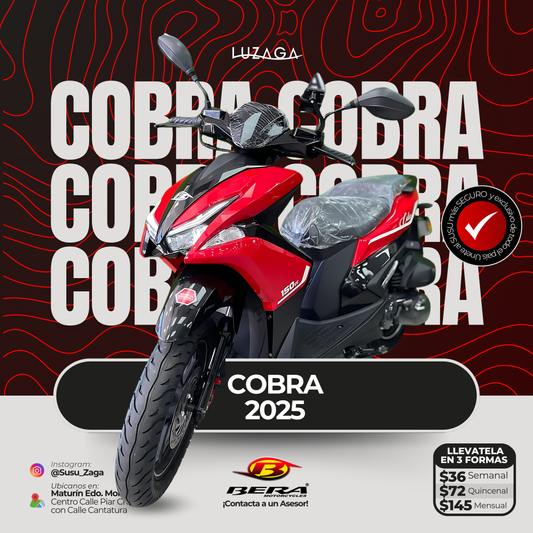 Bera Cobra 2025