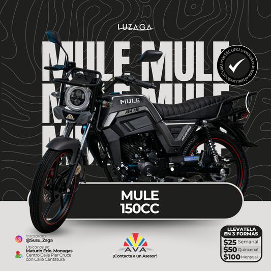 Ava Mule 150cc