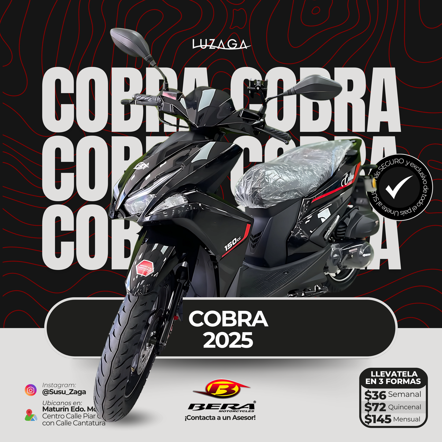 Bera Cobra 2025