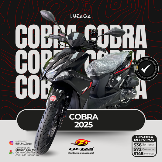 Bera Cobra 2025